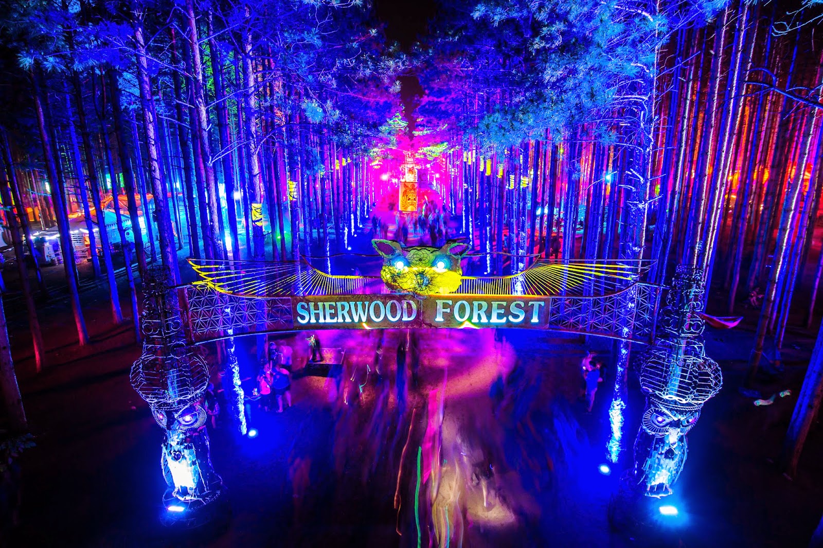 [Image: electricforest.jpg]