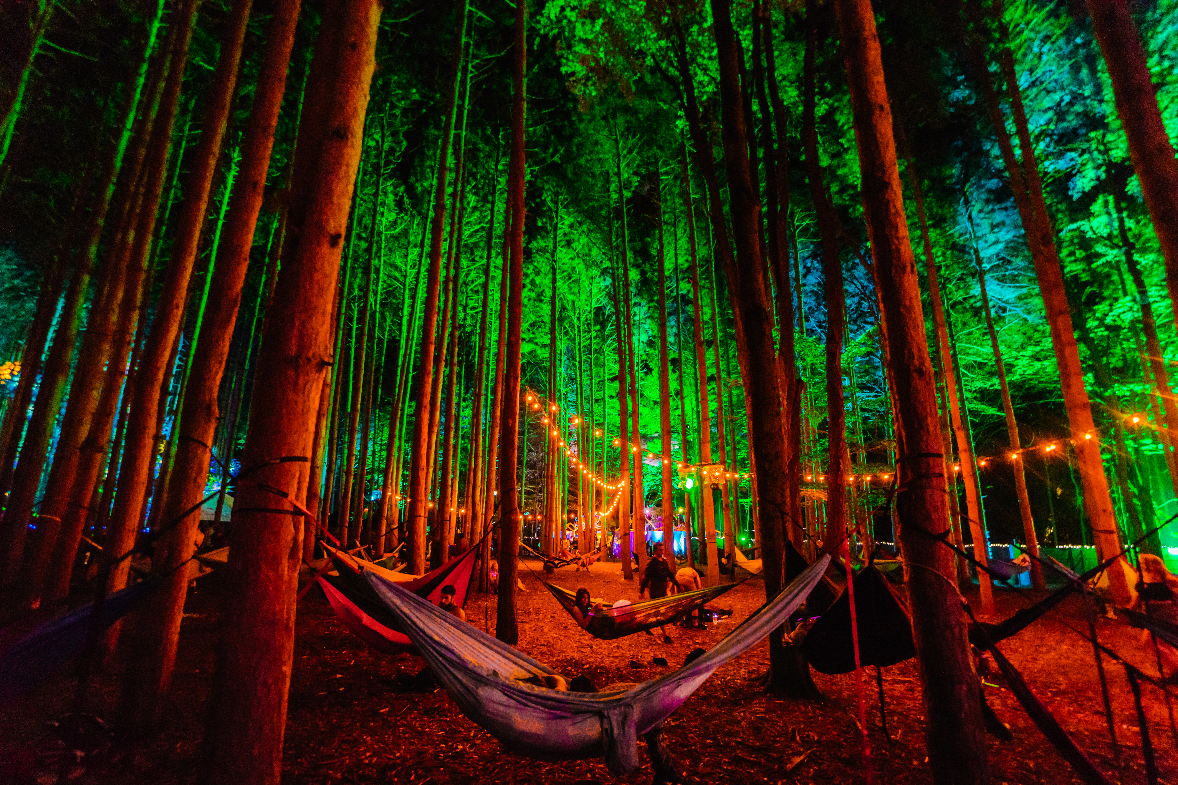 Electric Forest has something special about it - but there is a certain mag...