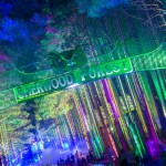 Electric forest guide 2013