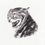 Great Dane – Beta Cat Album Review