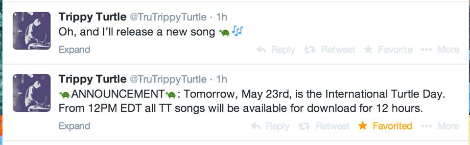 Trippy turtle Free Download