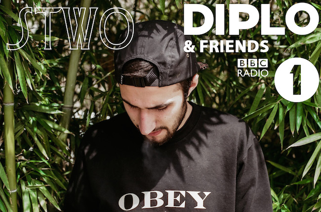 stwo diplo and friends