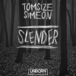 RTT Presents – Tomsize & Simeon – Slender (Remix Contest)