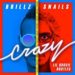 Lil Boosie – Crazy (Brillz & Snails Bootleg) 