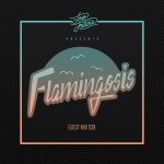 Too Future Guest Mix 039: Flamingosis