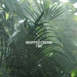 WHIPPED CREAM X TIBE – Fareye