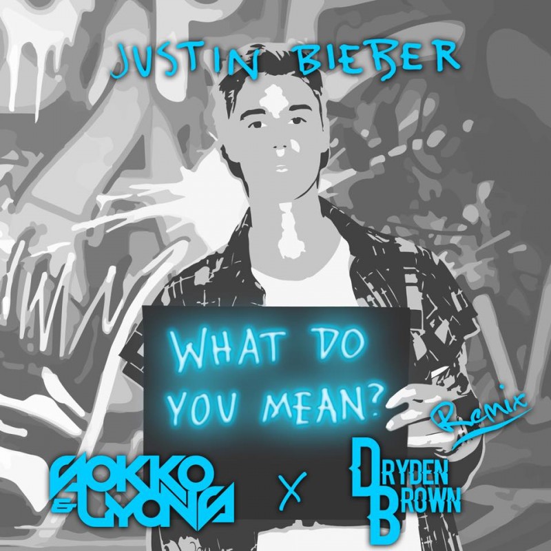 What Do You Mean (Remix) Artwork