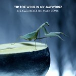RiFF RAFF – TiP TOE WiNG IN MY JAWWDiNZ (Mr. Carmack And BIG MAKK Remix)