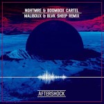 NGHTMRE & Boombox Cartel – Aftershock (Blvk Sheep & Maliboux Remix) CONTEST WINNER