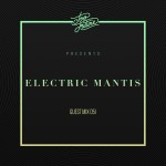 Too Future. Guest Mix 051:  Electric Mantis