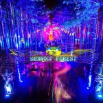 Electric Forest Is Releasing Their Lineup In The Coolest Way Possible