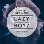 Buzzzmix Vol. 25 – Lazy Boyz