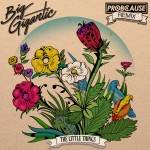 ProbCause Drops Vocal Remix of Big Gigantic’s “Little Things”