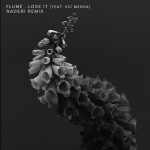 Naderi Puts His Personal Touch on Flume’s “Lose It” Ft. Vic Mensa