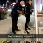Skrillex Was Detained by Police Tonight