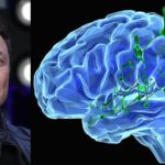 Elon Music Claims Neuralink Chip Allows Music Streaming  Directly to Brain