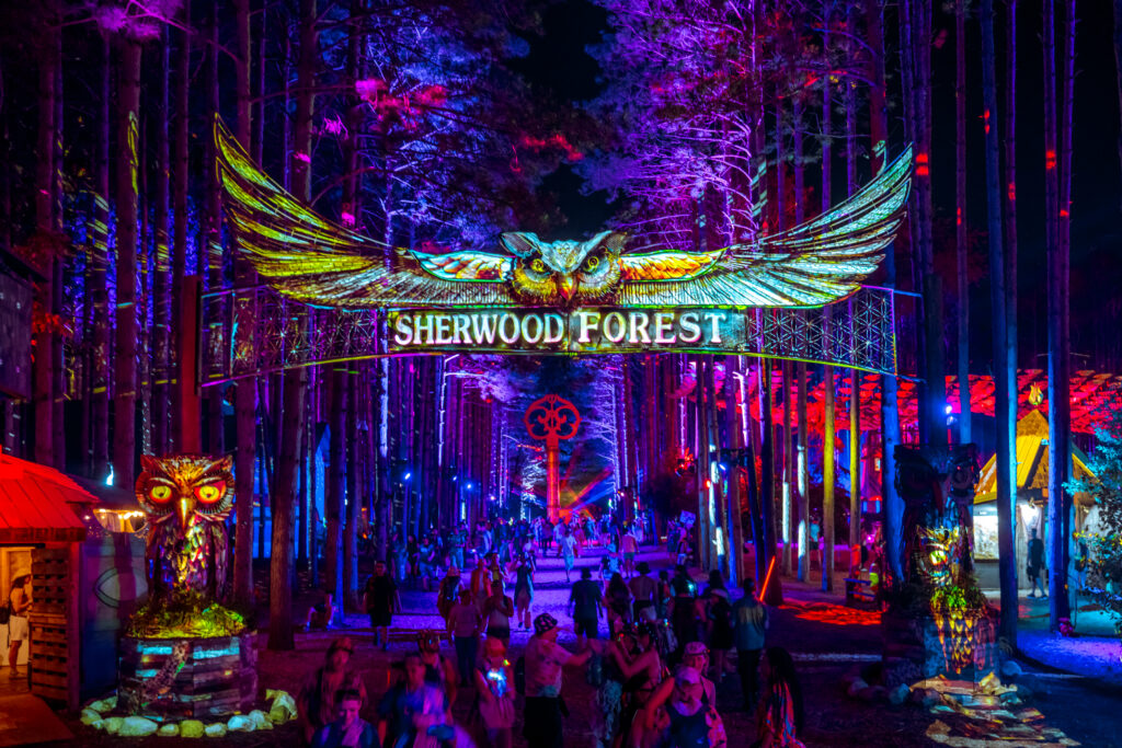 Photo courtesy of: Alive Coverage/Electric Forest